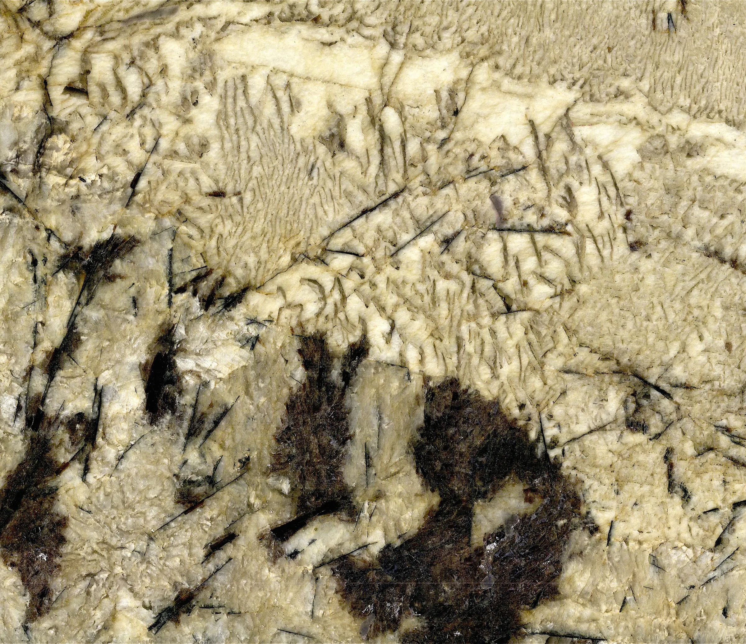 Macro material-reference photograph of Amazon Gold graphic granite from Brazil, showing feldspar, quartz and dark mica at slab-detail scale.